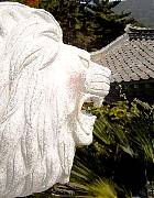 po po sa lion 3-edited.jpg